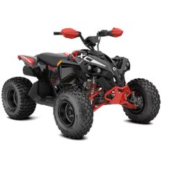 Can-Am Renegade X XC 110...