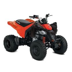 Can-Am DS250 2026 3JTB...