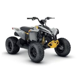 Can-Am Renegade 110 EFI...